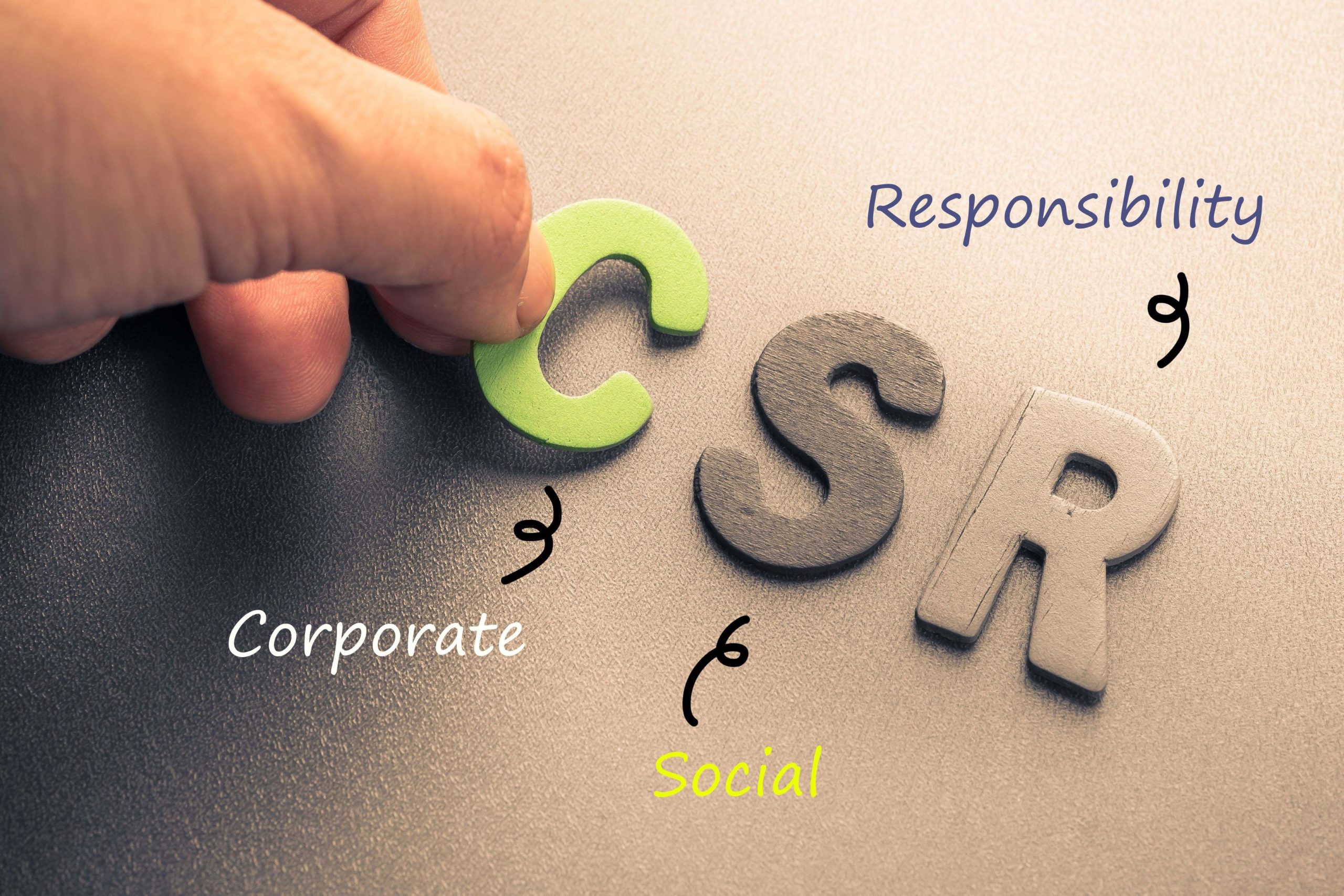 Is CSR Really Necessary?