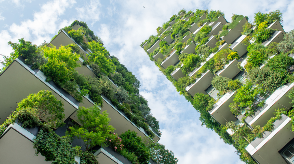 What Does “Nature-Positive” Actually Mean? Defining a New Era of Sustainability
