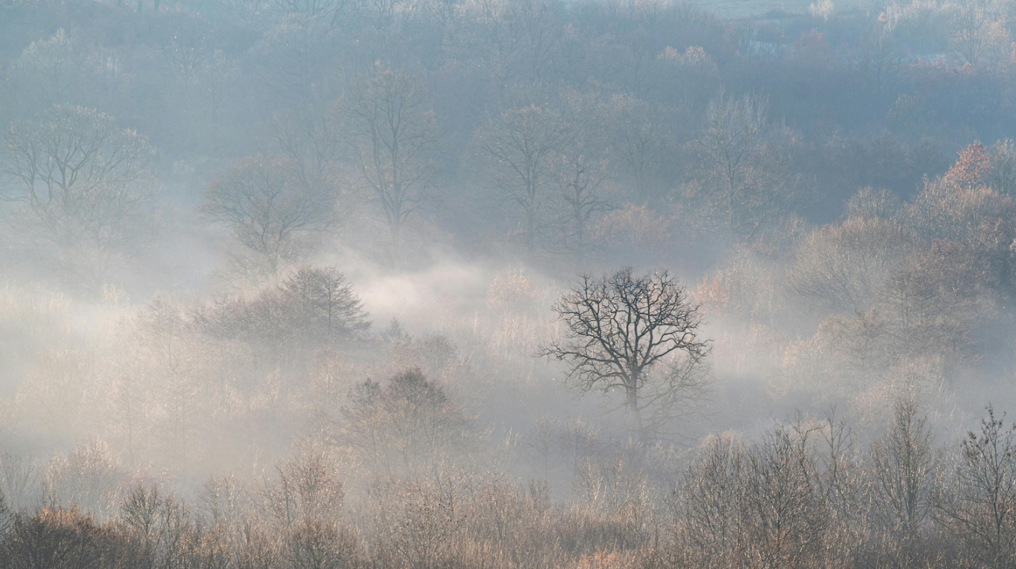 What the Haze Reveals About the Importance of Green Accounting